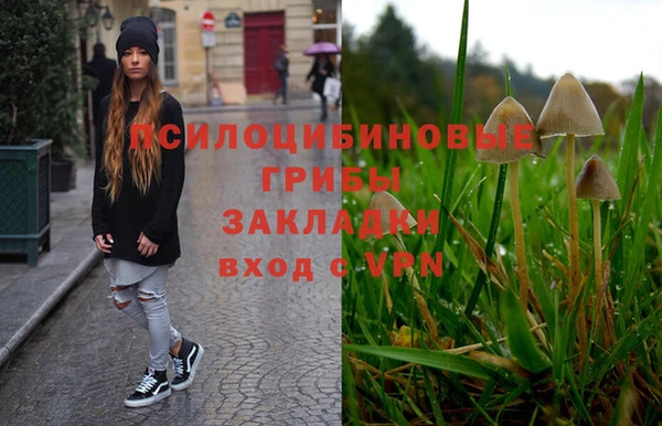спиды Алексеевка