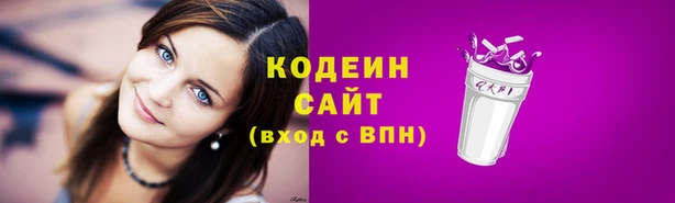 ECSTASY Алзамай