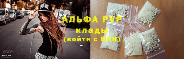 ECSTASY Алзамай