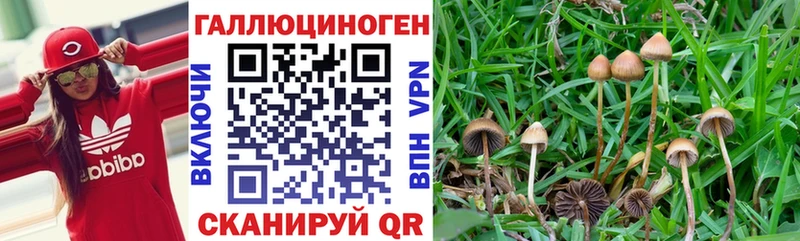 Псилоцибиновые грибы прущие грибы МЕГА онион Уяр где купить наркоту